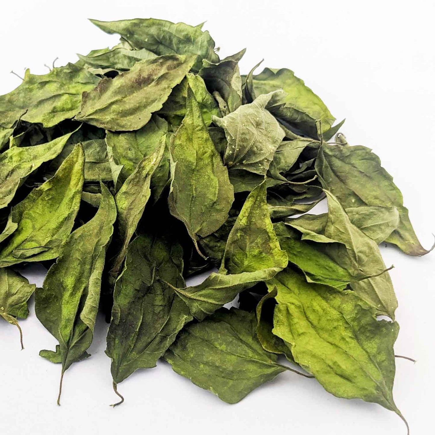 Dream Herb | Dried Calea Zacatechichi Leaves | 100% Natural Herbal Tea-4