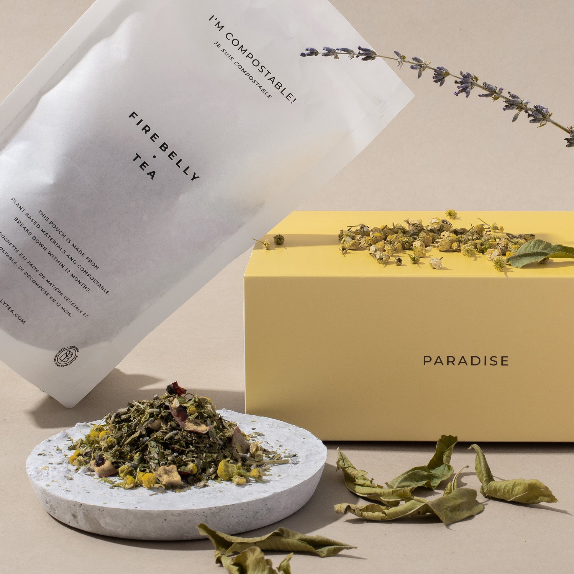 Paradise-2