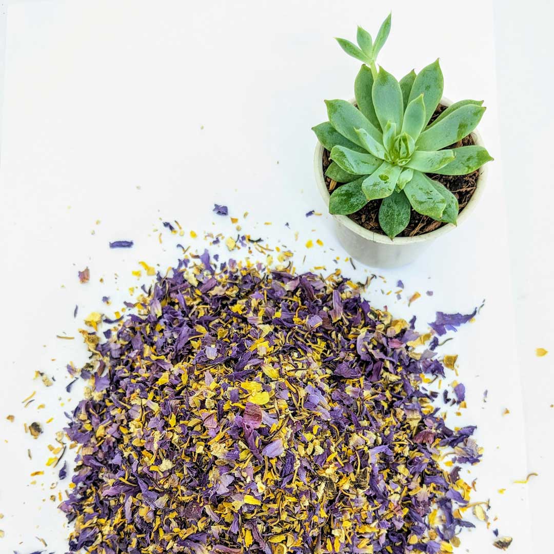 Blue Lotus Tea - Blue Lotus Flowers | 100% Natural Herbal Tea-3