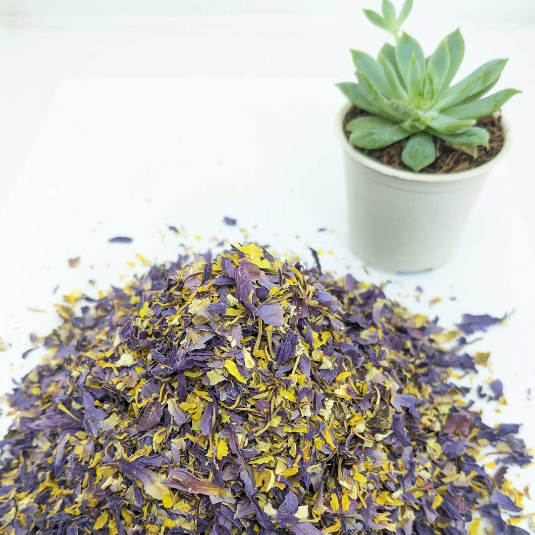 Blue Lotus Tea - Blue Lotus Flowers | 100% Natural Herbal Tea-14