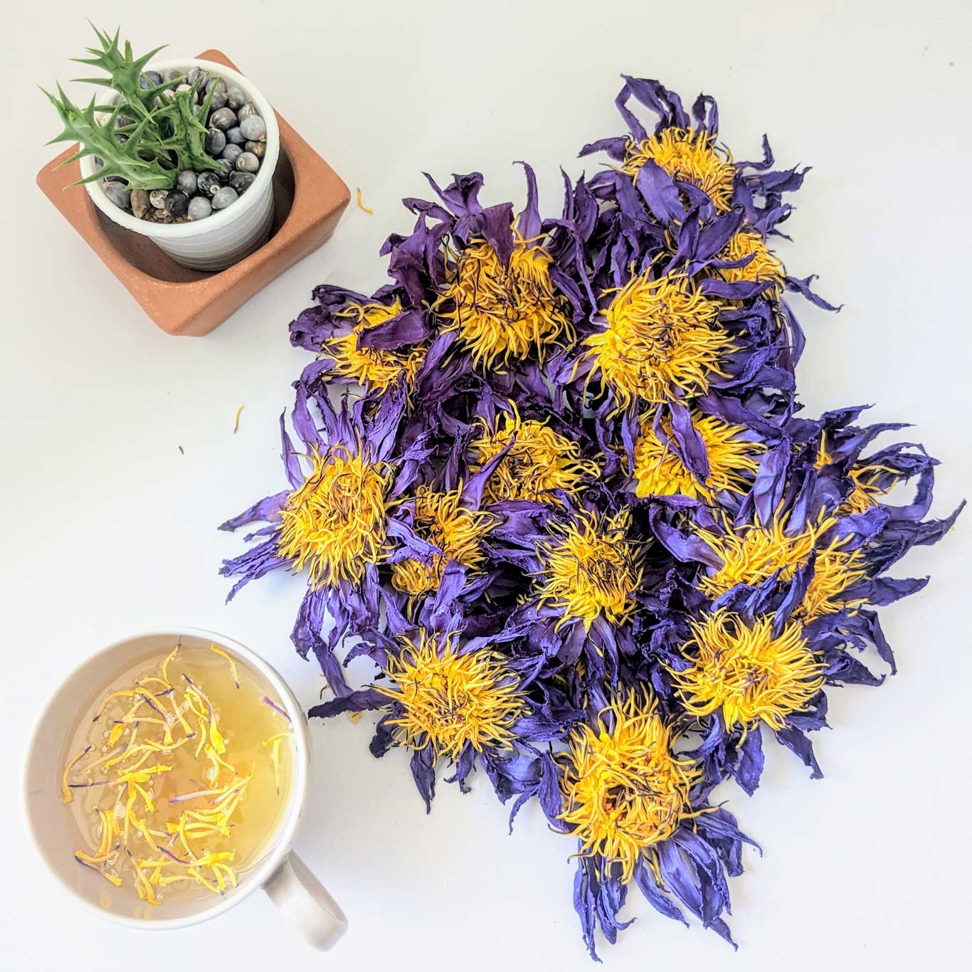 20kg Dried Blue Lotus Flowers - Premium Quality, Organic, for Tea, Bath, Incense, and More | Ceylon Organic-2