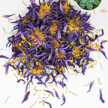 20kg Dried Blue Lotus Flowers - Premium Quality, Organic, for Tea, Bath, Incense, and More | Ceylon Organic-3