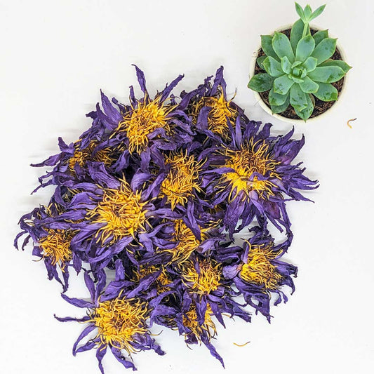 20kg Dried Blue Lotus Flowers - Premium Quality, Organic, for Tea, Bath, Incense, and More | Ceylon Organic-0