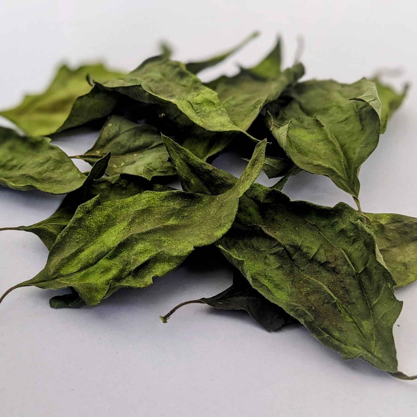 Dream Herb | Dried Calea Zacatechichi Leaves | 100% Natural Herbal Tea-5
