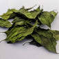 Dream Herb | Dried Calea Zacatechichi Leaves | 100% Natural Herbal Tea-5