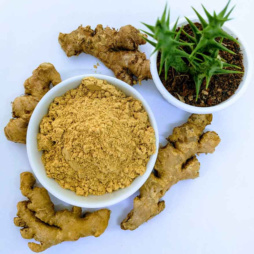 2kg+ Ceylon Ginger Powder - Premium, Fresh & Aromatic | Ceylon Organic-5