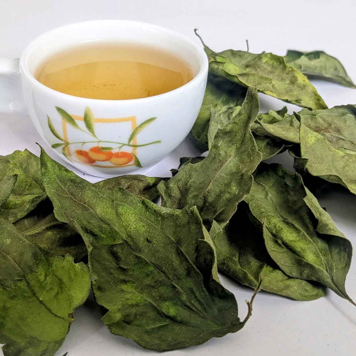 Dream Herb | Dried Calea Zacatechichi Leaves | 100% Natural Herbal Tea-3