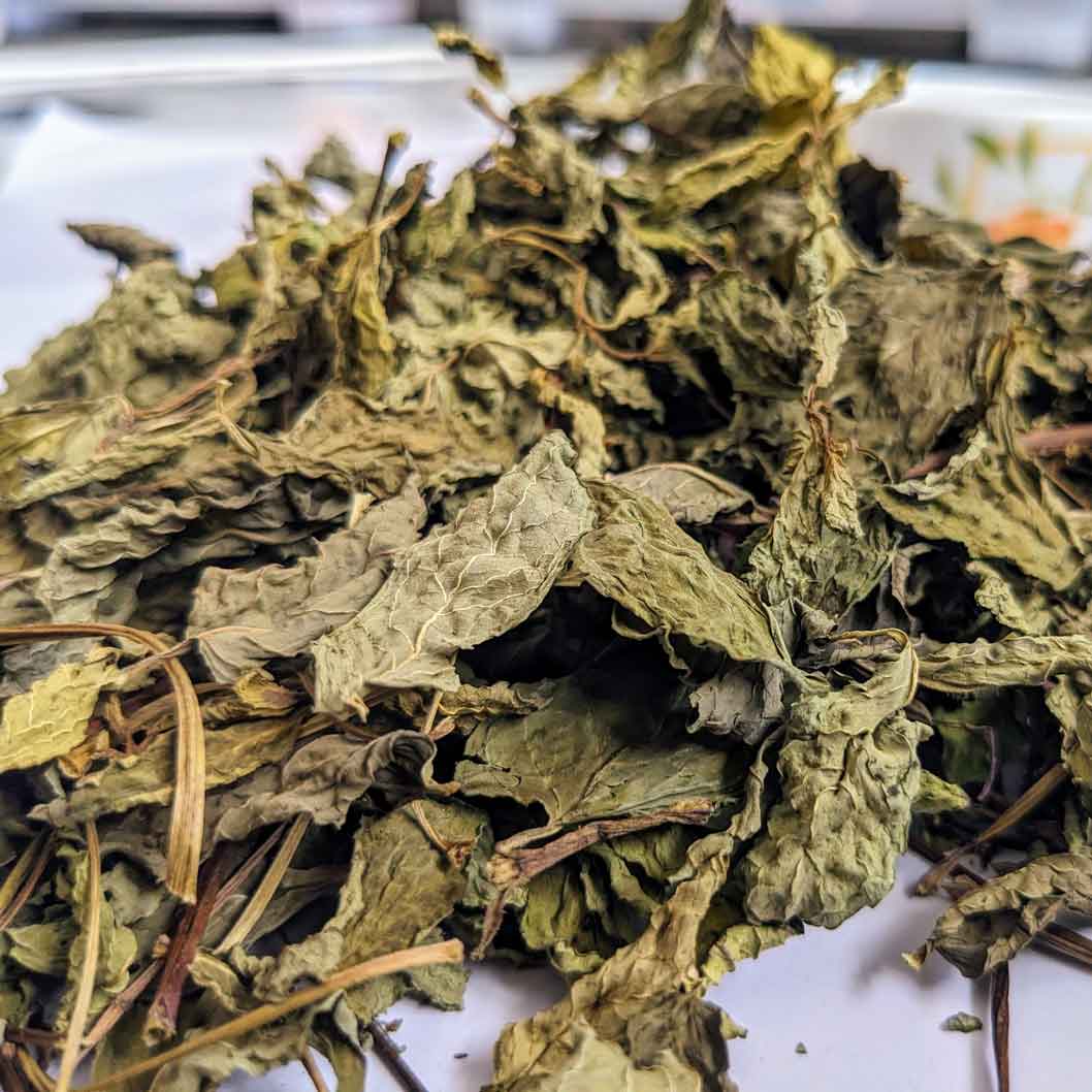 Spearmint Tea – Refreshingly Natural and Caffeine-Free | Ceylon Organic-5
