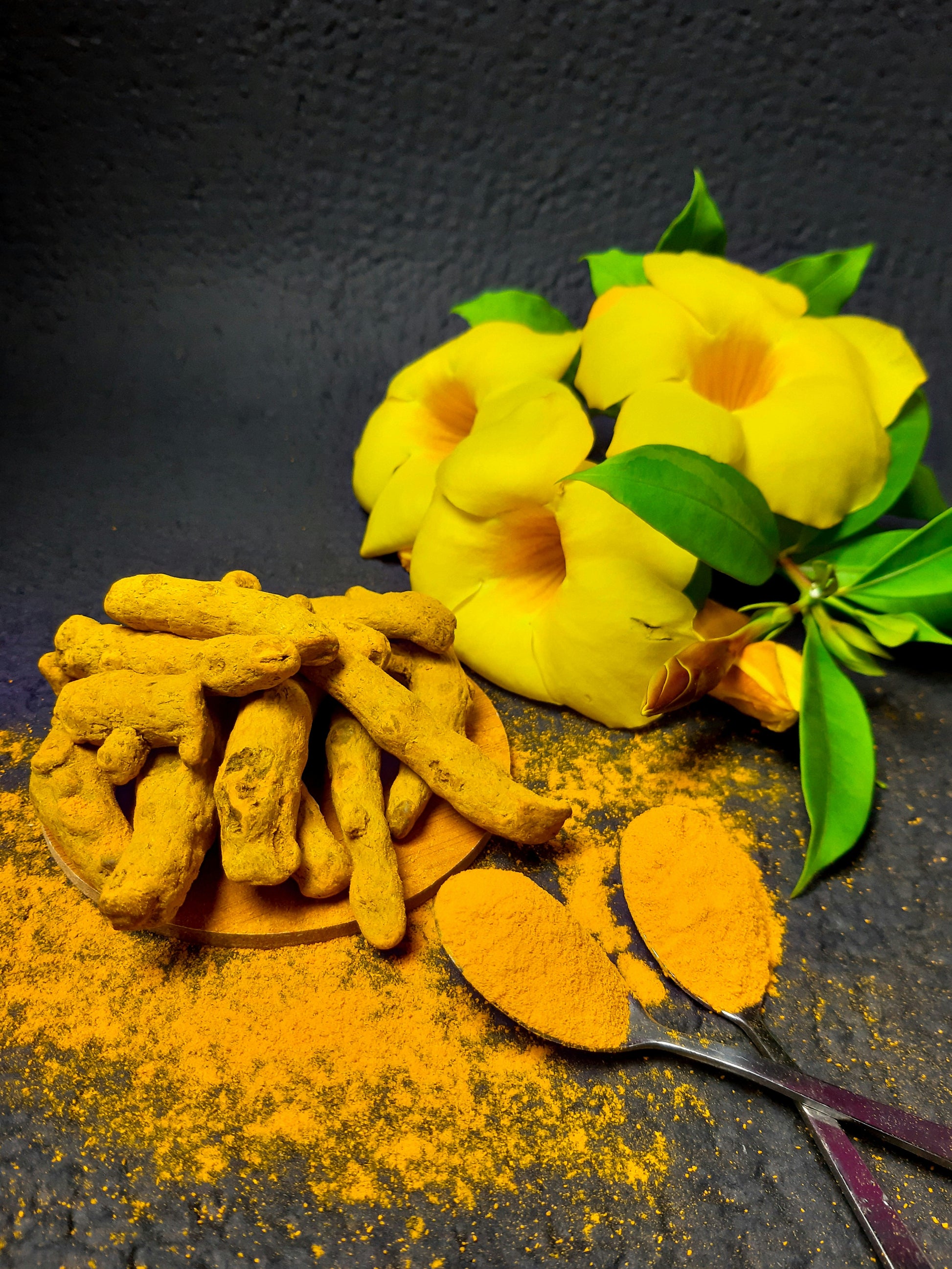 Poudre de Curcuma-3