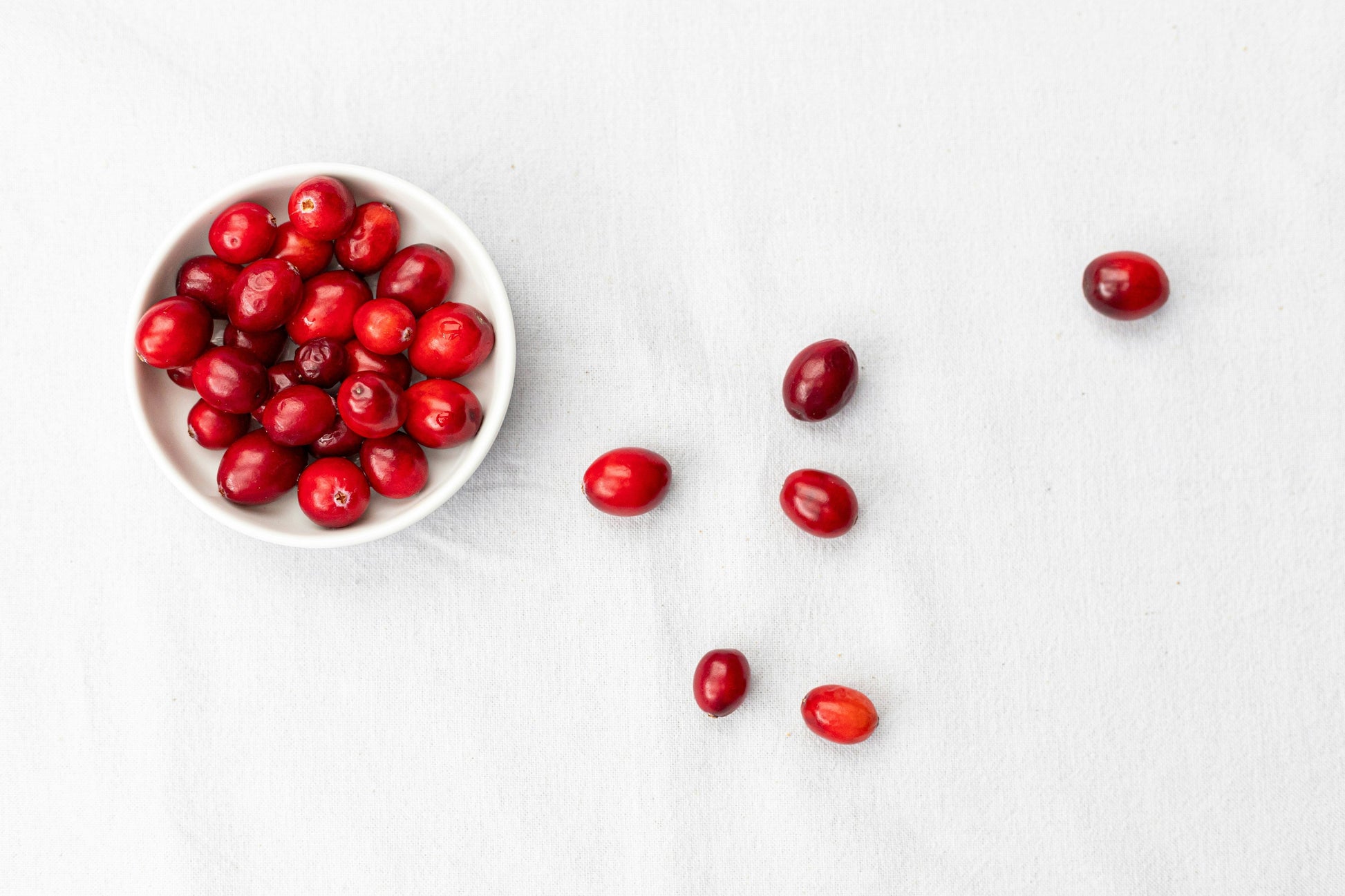 Poudre de Cranberry-2